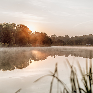 Reportage pour le Crédit Mutuel de la ville d'Argentré en Mayenne par Pascaline Templon - La Pauze Photographie